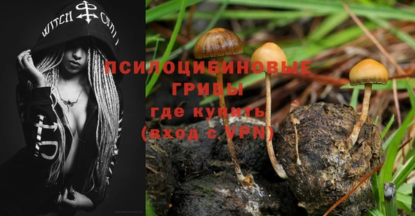 apvp Алексеевка