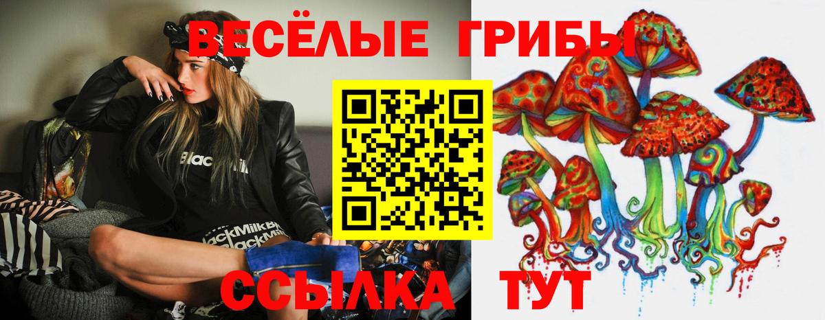 Качканар  закладки  Вход с VPN  Галлюциногенные грибы Psilocybe 
