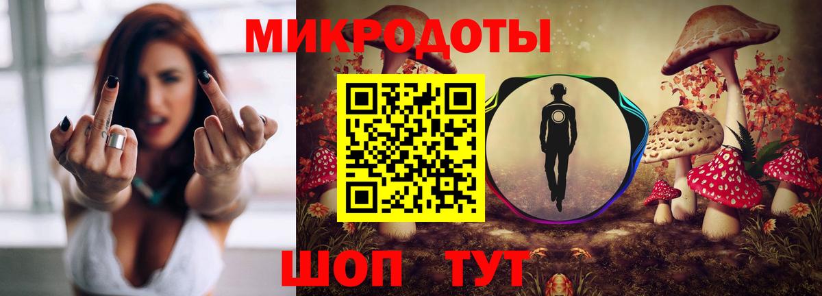 Псилоцибиновые грибы Psilocybe Качканар